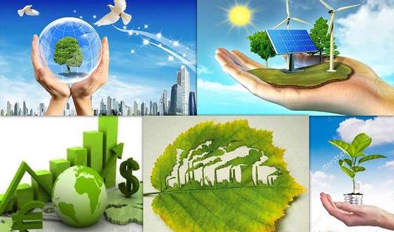 Phê duyệt Chiến lược quốc gia về biến đổi khí hậu giai đoạn đến năm 2050