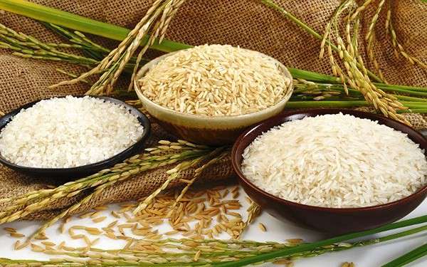 Giá lúa gạo hôm nay 19/11: Giá gạo chững lại, thị trường bớt trầm lắng