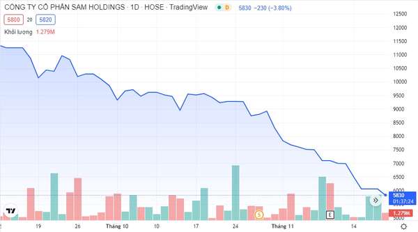 SAM Holdings (SAM): Bảo hiểm Hùng Vương mua không trọn số cổ phiếu đã đăng ký