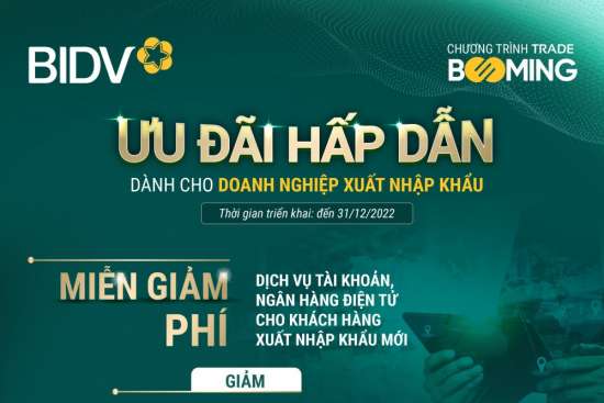 Ảnh bài viết