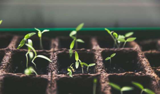 Singapore ban hành Khung trái phiếu xanh