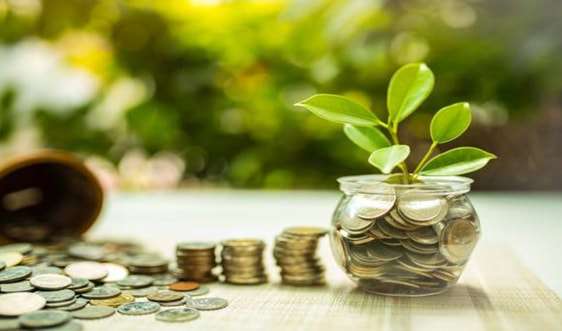 Bảo hiểm tiền gửi góp phần “xanh hóa” hoạt động tài chính – ngân hàng