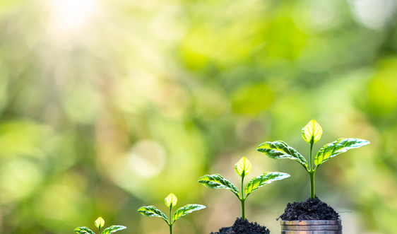 HSBC bắt tay Techcombank trong giao dịch lịch sử trị giá 1 tỷ USD