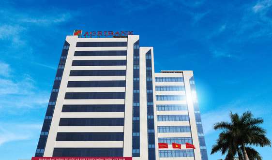Ảnh bài viết