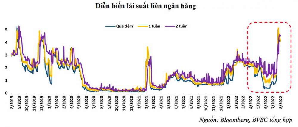 Nguồn: BVSC