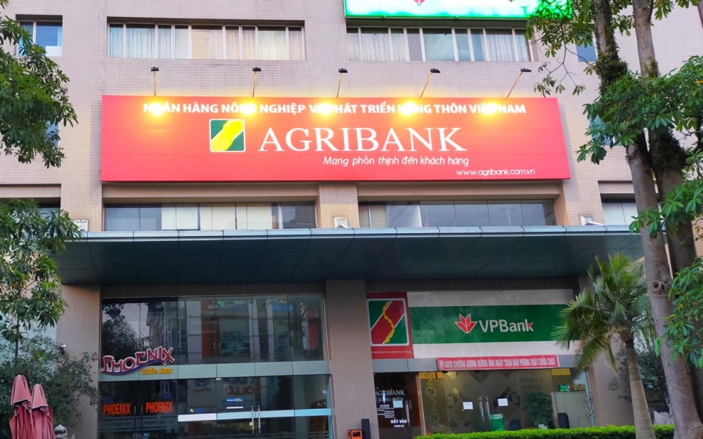 Agribank rao bán hàng nghìn m2 đất và biệt thự để xử lý nợ